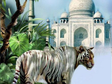 tajmahal-with-tigers-tour