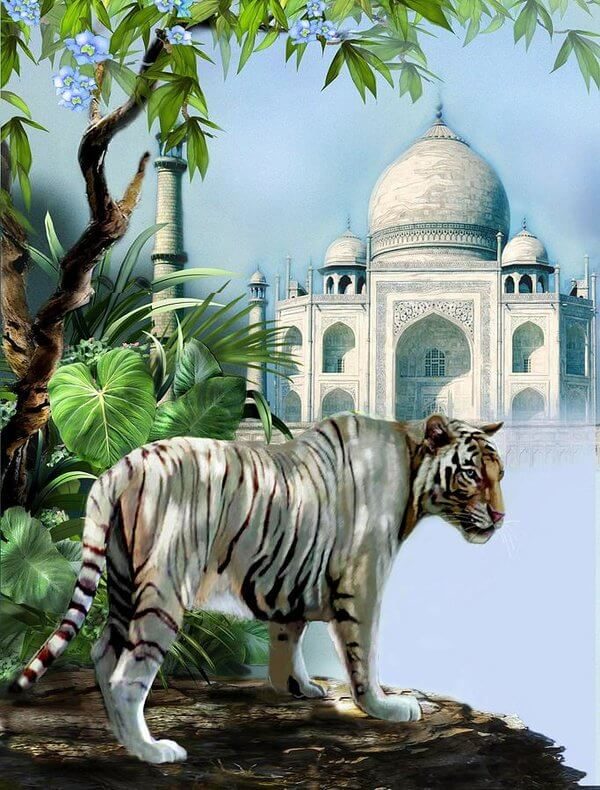 tajmahal-with-tigers-tour